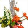 Sensational Touch - Click here to View more details about this Product